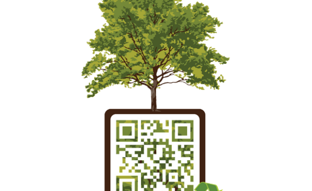 QR Kodların Çevresel Sürdürülebilirliği